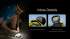 Lampe Frontale Nitecore UT27 PRO - 800 Lumens livrée avec 2 batteries HLB1500 - version 2024